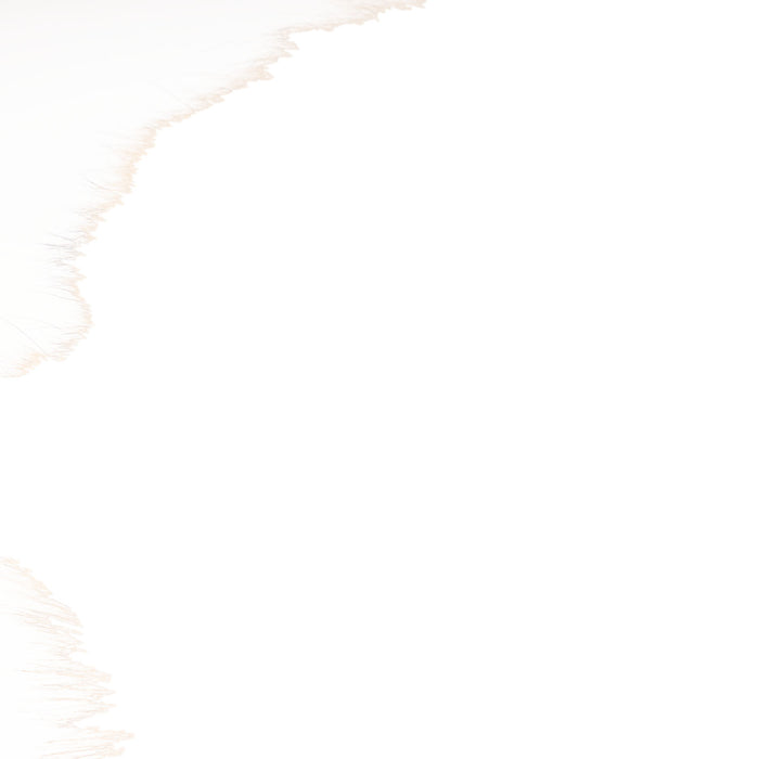 F/D Highland Cow Cantle Sporran Fox