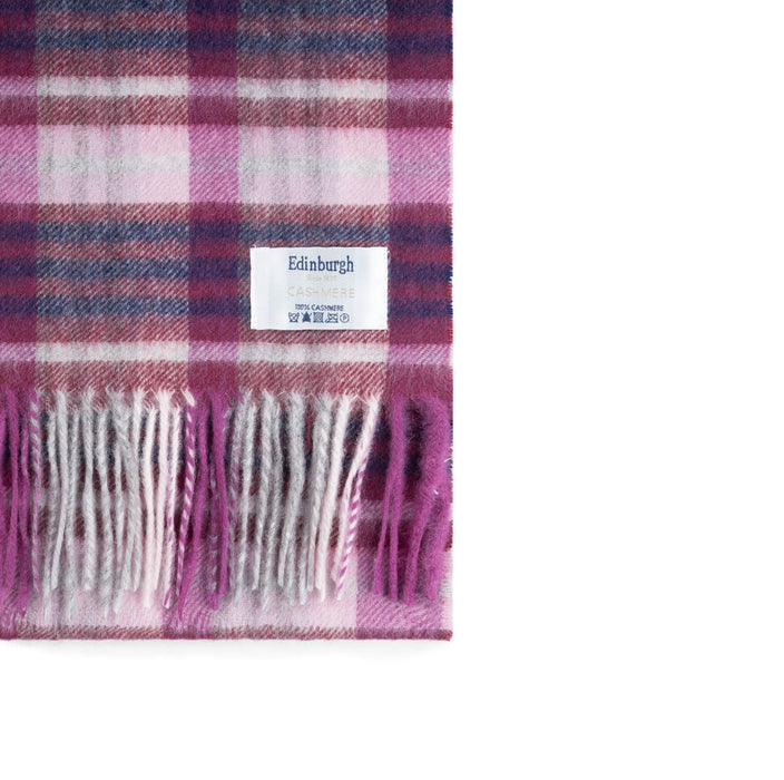 Edinburgh Cashmere Scarf Cluster Gingham Astral Raspberry
