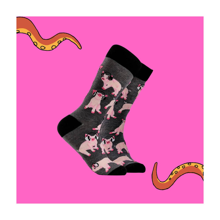 Pigs In Headphones Socks