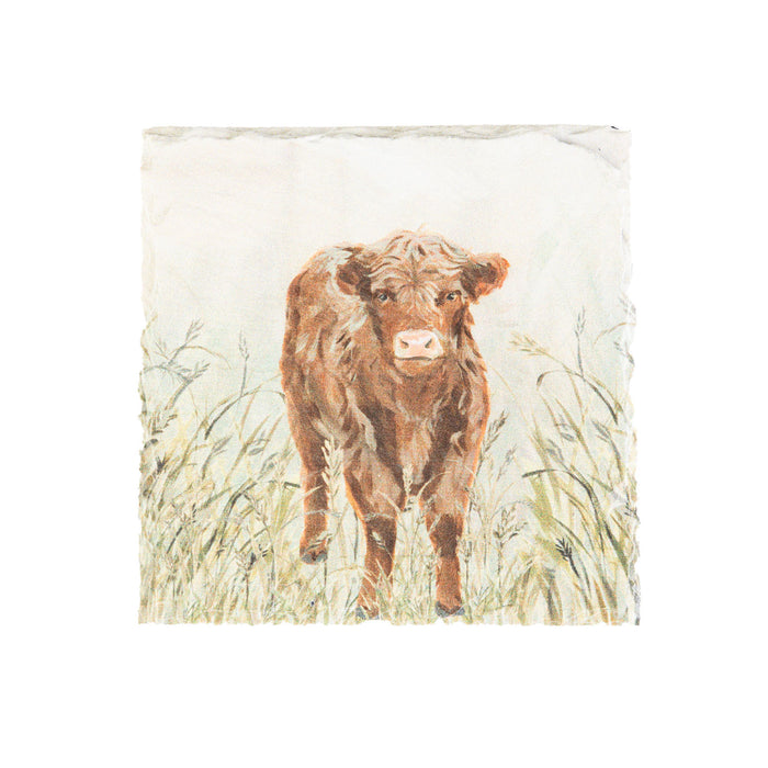 Dougal Highland Cow Slate