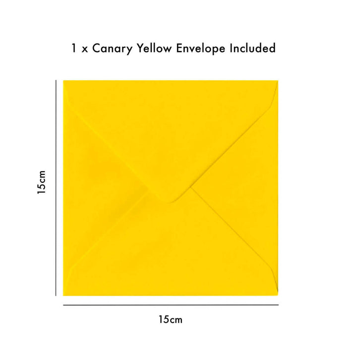 Party Like A Trooper - Birthday