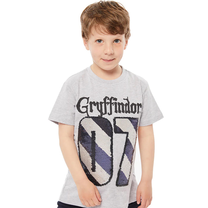 Hp Tshirt Gryffindor '07