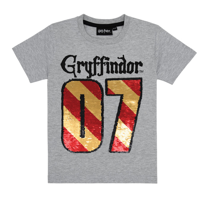 Hp Tshirt Gryffindor '07