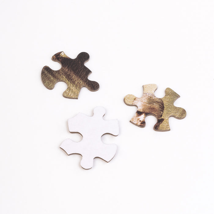 Lotr The Two Towers 500 Pieces Puzzle