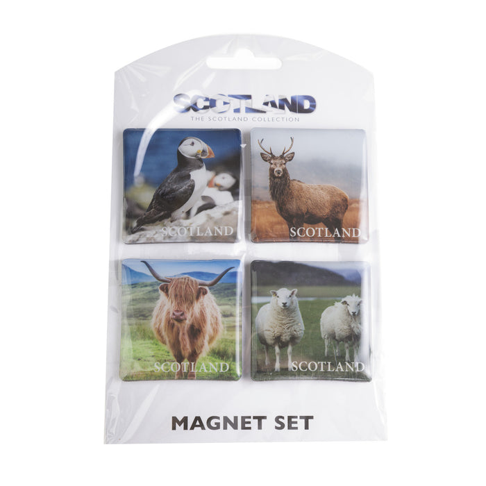 Scottish Animals 4Pk Magnet Set