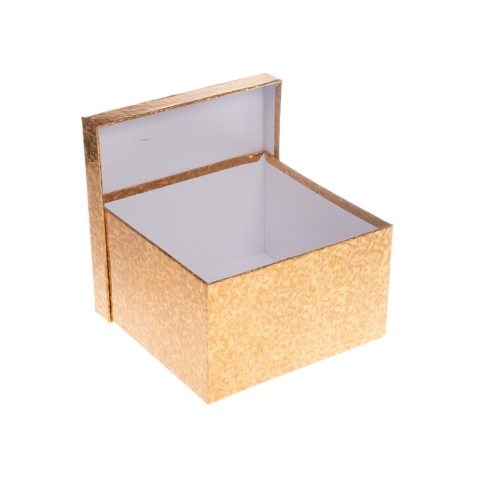 Individual Holo Gold Box