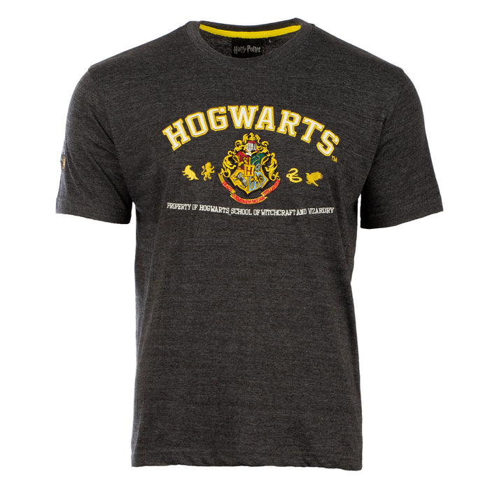 Harry Potter - T-Shirt - Hogwarts Quidditch Grey/White