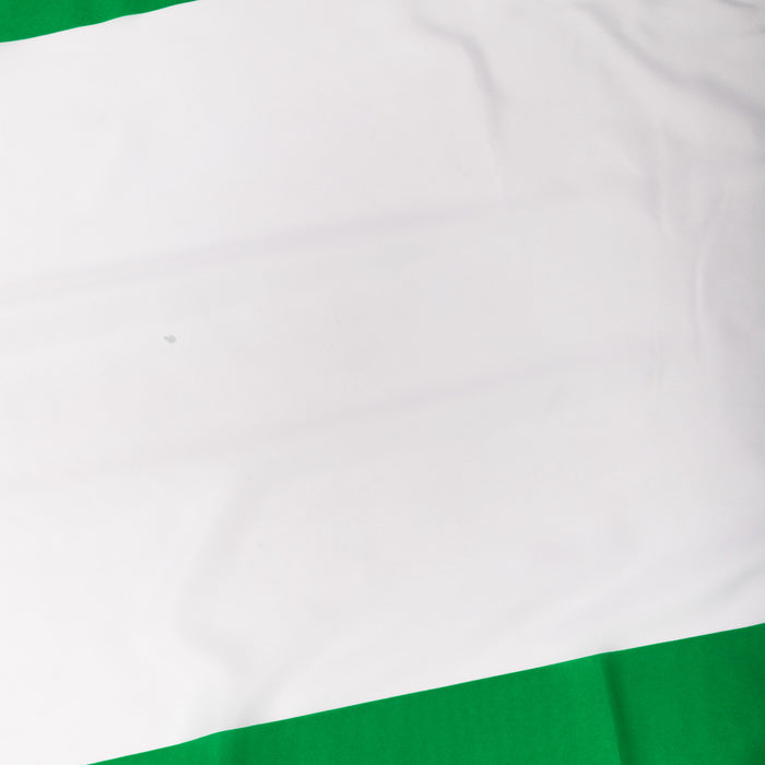 5X3 Flag Nigeria