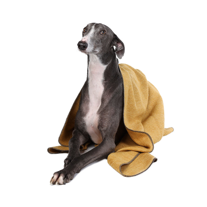 Herringbone Pet Blanket Mustard