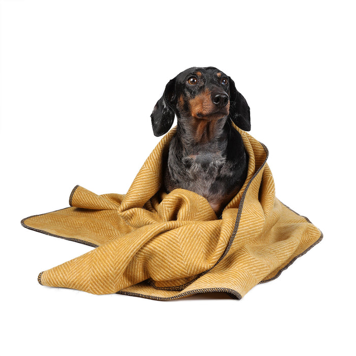 Herringbone Pet Blanket Mustard